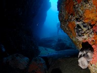 Recensement des grottes marines du cap Corse